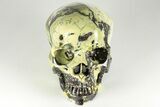 Realistic, Polished Yellow Turquoise Jasper Skull - Magnetic #199584-1